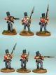 Mixed British Flank Company in Covered Belgic Shako, Firing Line