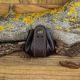 Wanderer Pouch (Leer) - Bruin, S