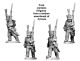 Napoleonic French - Flank Company